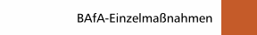 BAfA-Einzelmaßnahmen
